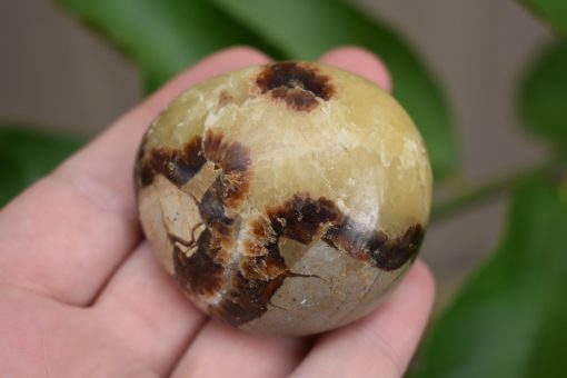 Septarian Gallet ‘Dragon Stone’