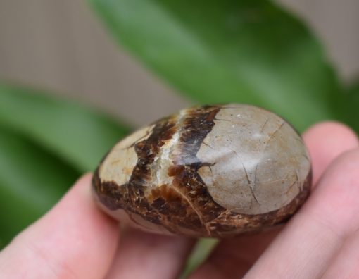 Septarian Gallet ‘Dragon Stone’ - Image 5