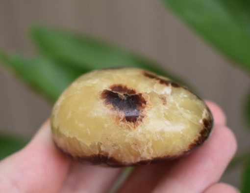 Septarian Gallet ‘Dragon Stone’ - Image 3